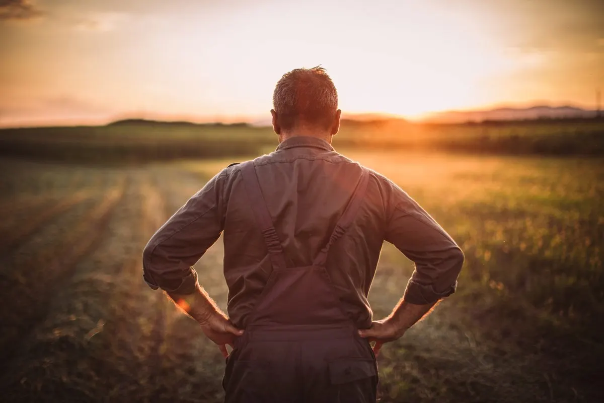 The Landowner
